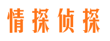 上海捉小三公司